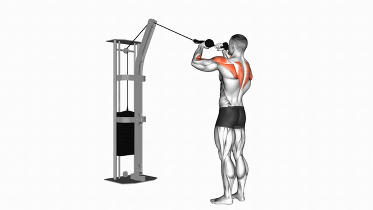 Common mistakes during Cable Rear Delt Rows Image