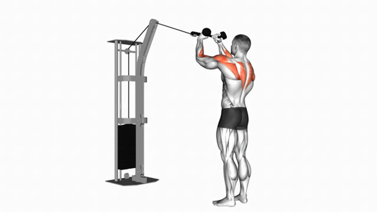 Cable Rear Delt Row