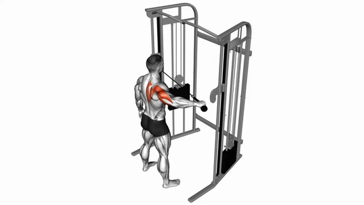 Common variations of Cable Rear Drive for Upper Arms Image