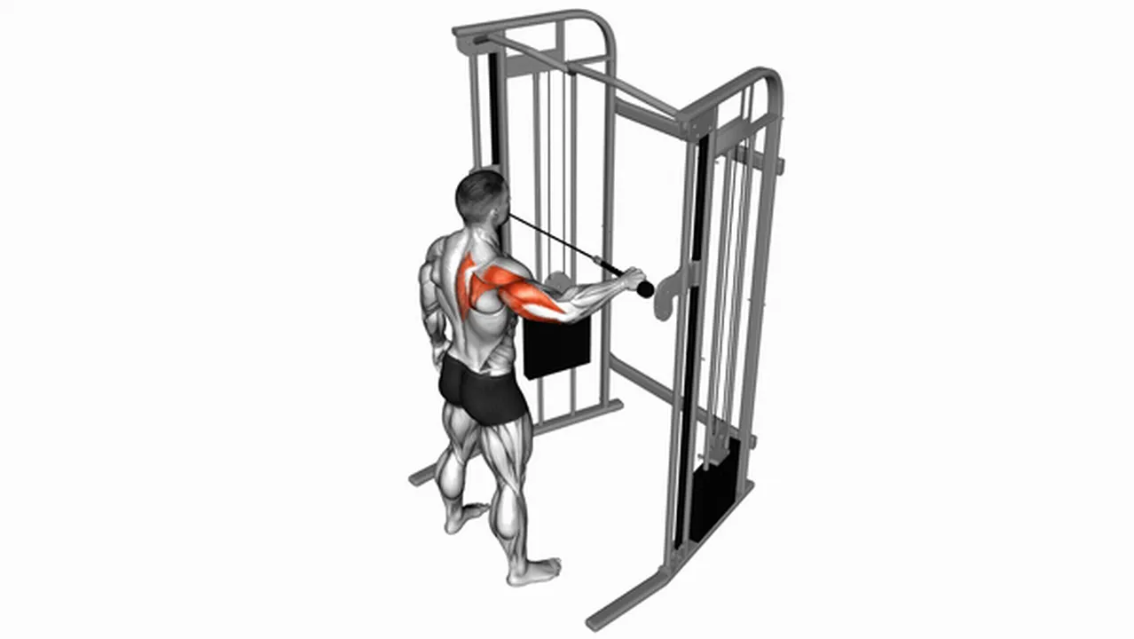 Common mistakes during Cable Rear Drive for Upper Arms Image