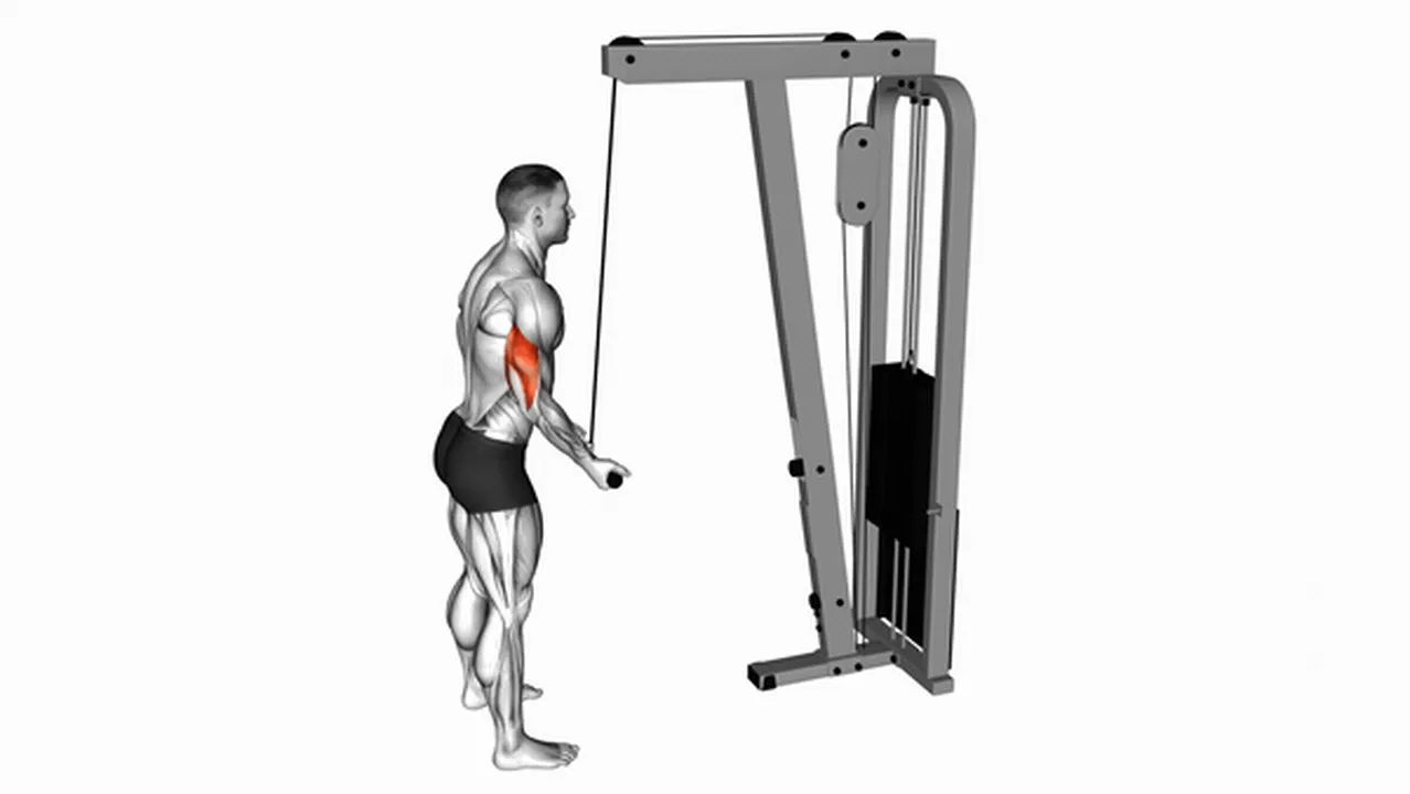 What are the benefits of cable reverse grip pushdowns? Image