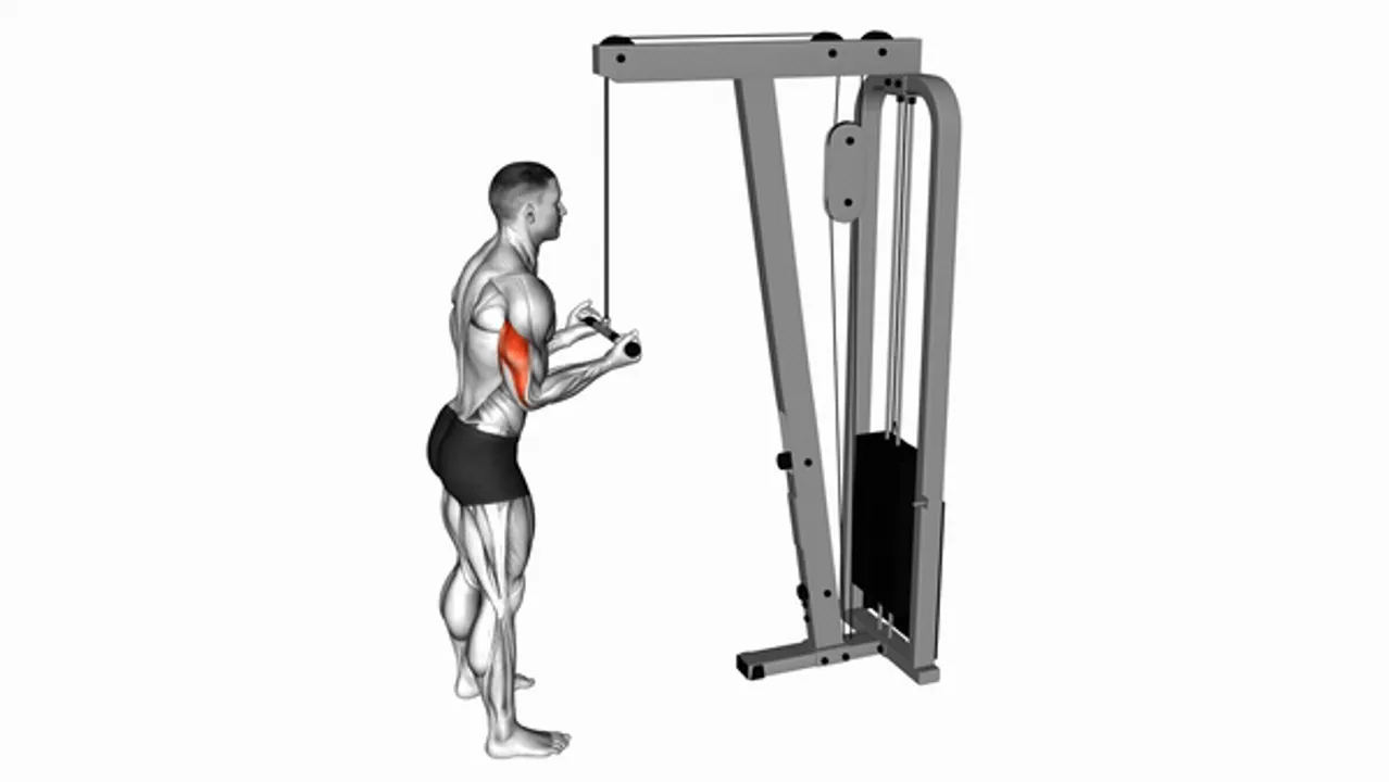 Cable Reverse Grip Pushdown