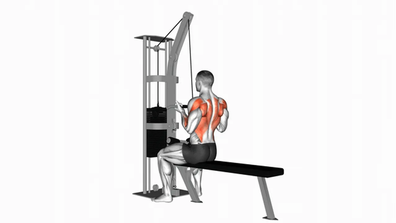 Common Cable Reverse Grip Seated High Row variations Image