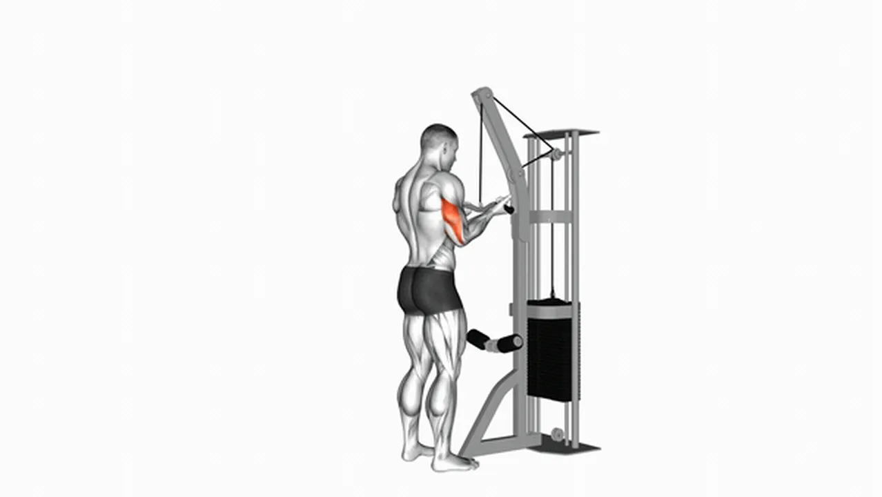 What are the benefits of Cable Reverse Grip Triceps Pushdown? Image