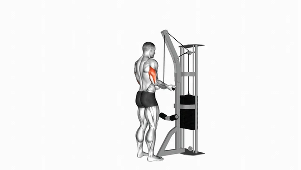 Alternatives to Cable Reverse Grip Triceps Pushdown Image