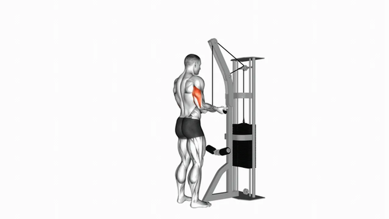 Common mistakes during Cable Reverse Grip Triceps Pushdown Image