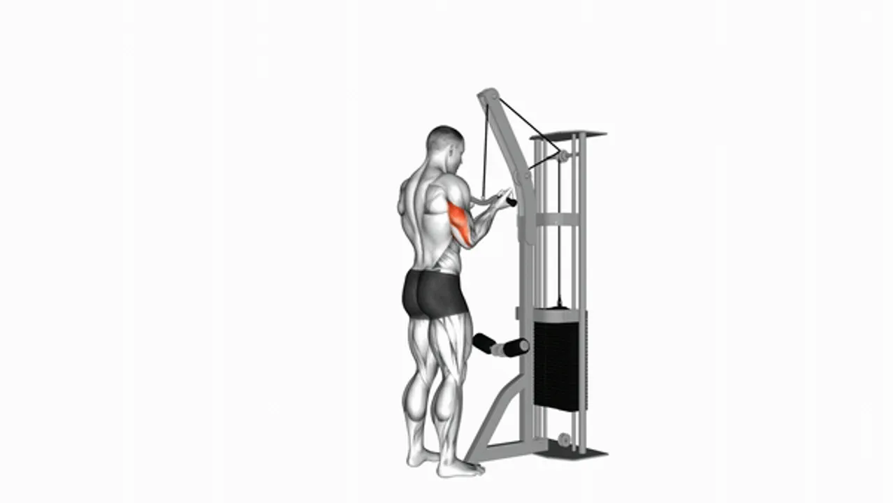 Cable Reverse Grip Triceps Pushdown