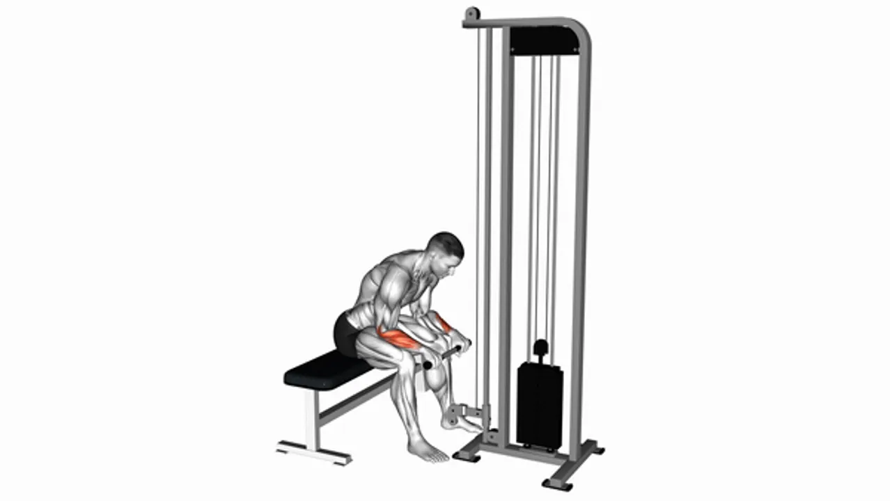 Cable Reverse Wrist Curl