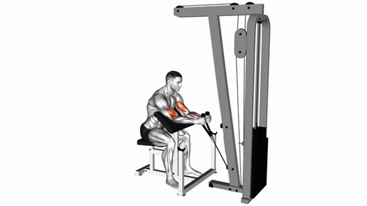 Cable Rope Hammer Preacher Curl