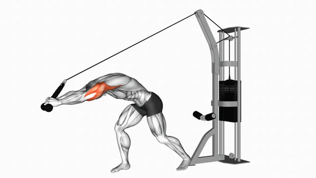 Common Cable Rope High Pulley Overhead Tricep Extension variations Image