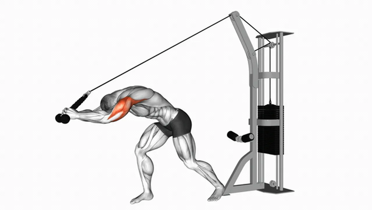 Alternatives to Cable Rope High Pulley Overhead Tricep Extensions Image