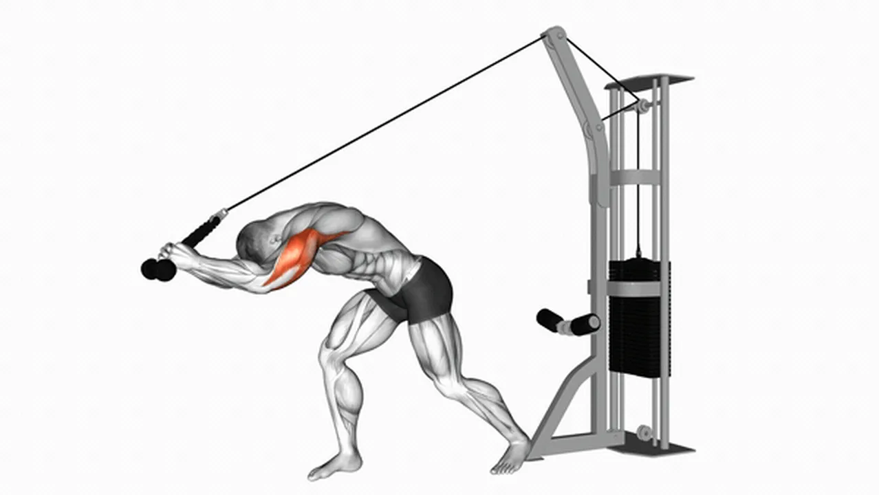 Common mistakes during Cable Rope High Pulley Overhead Tricep Extensions Image