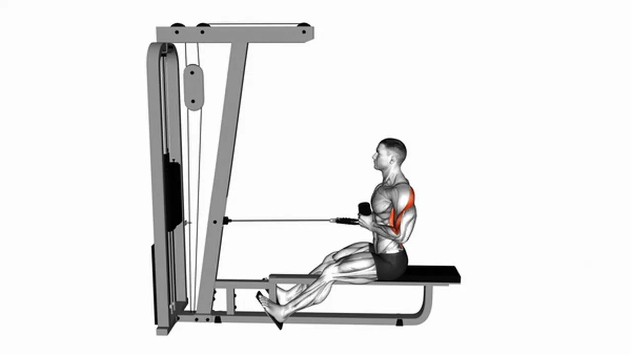 How to do cable rope seated rows? Image