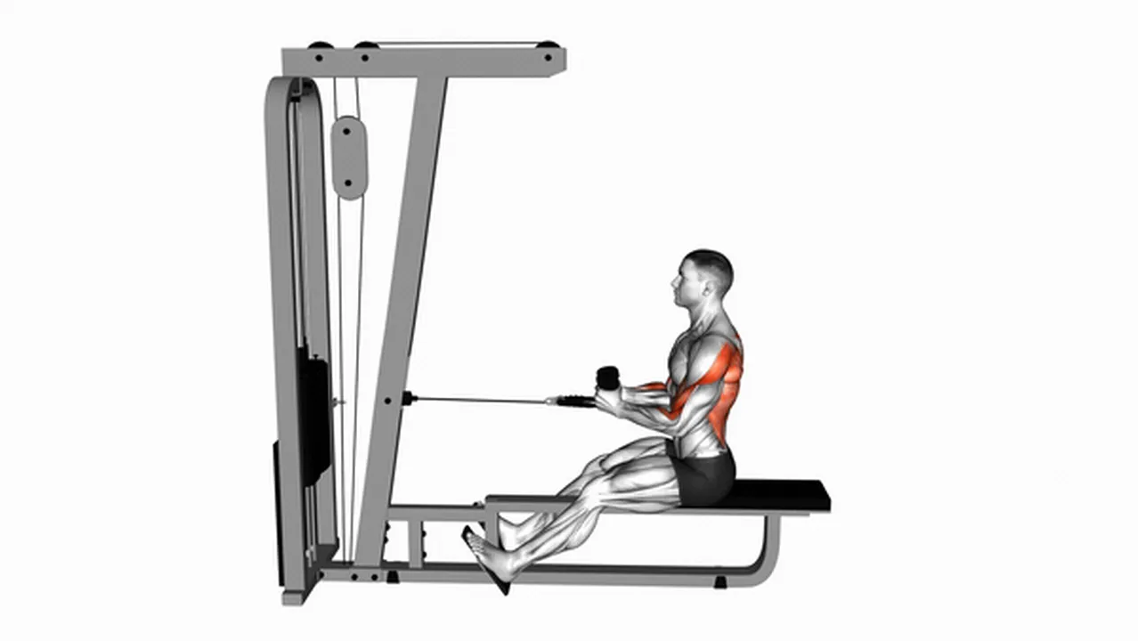 Cable rope seated row variations Image