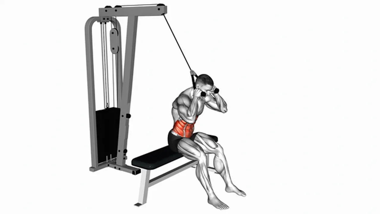 How to do Cable Seated Crunch? Image