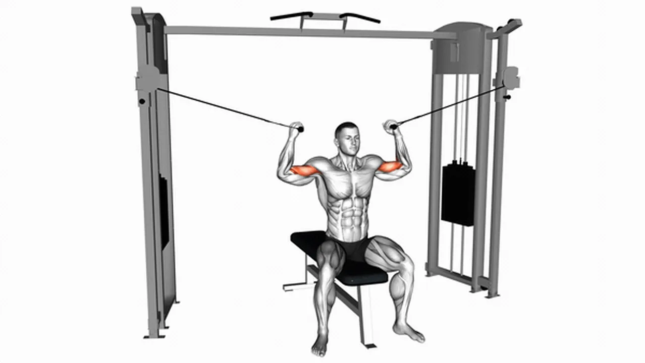 How to do Cable Seated Overhead Curls? Image