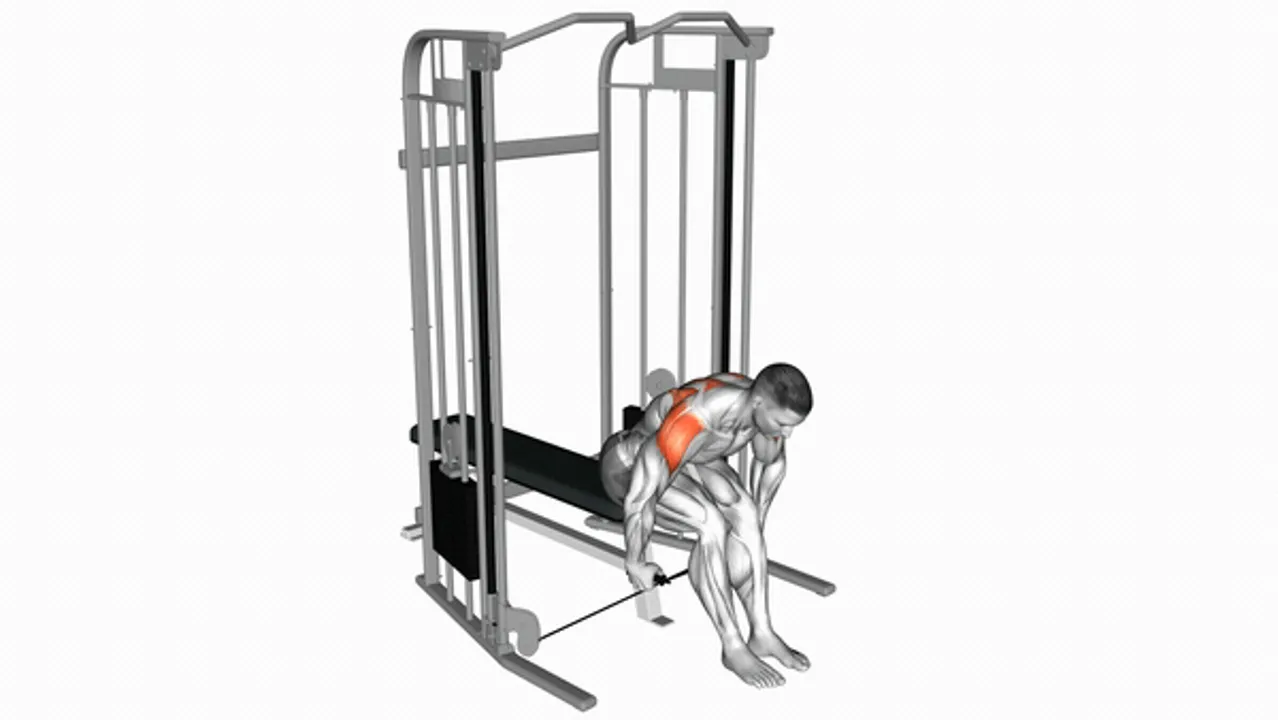 Cable Seated Rear Lateral Raise