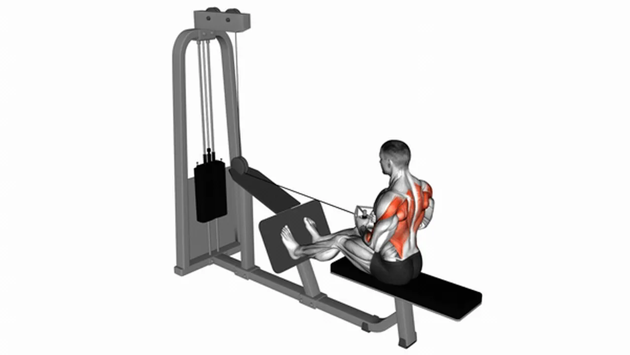 How to do Cable Seated Row with V-Bar? Image