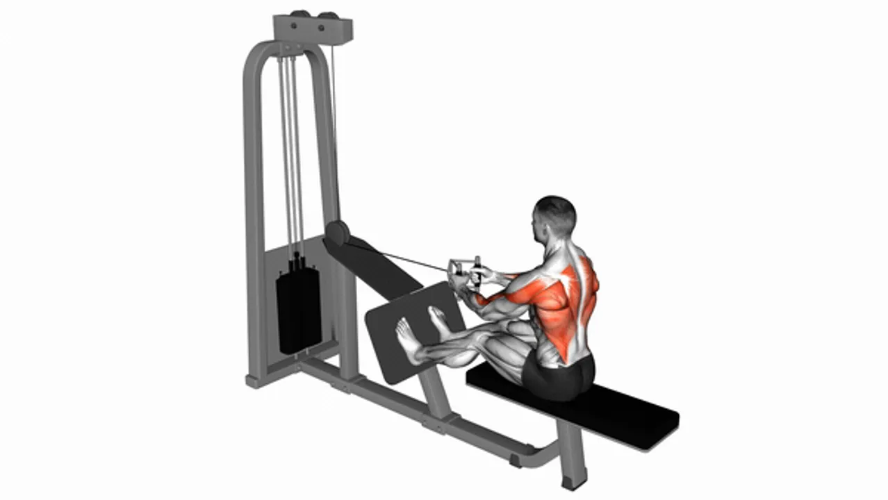 Cable Seated Row with V-Bar