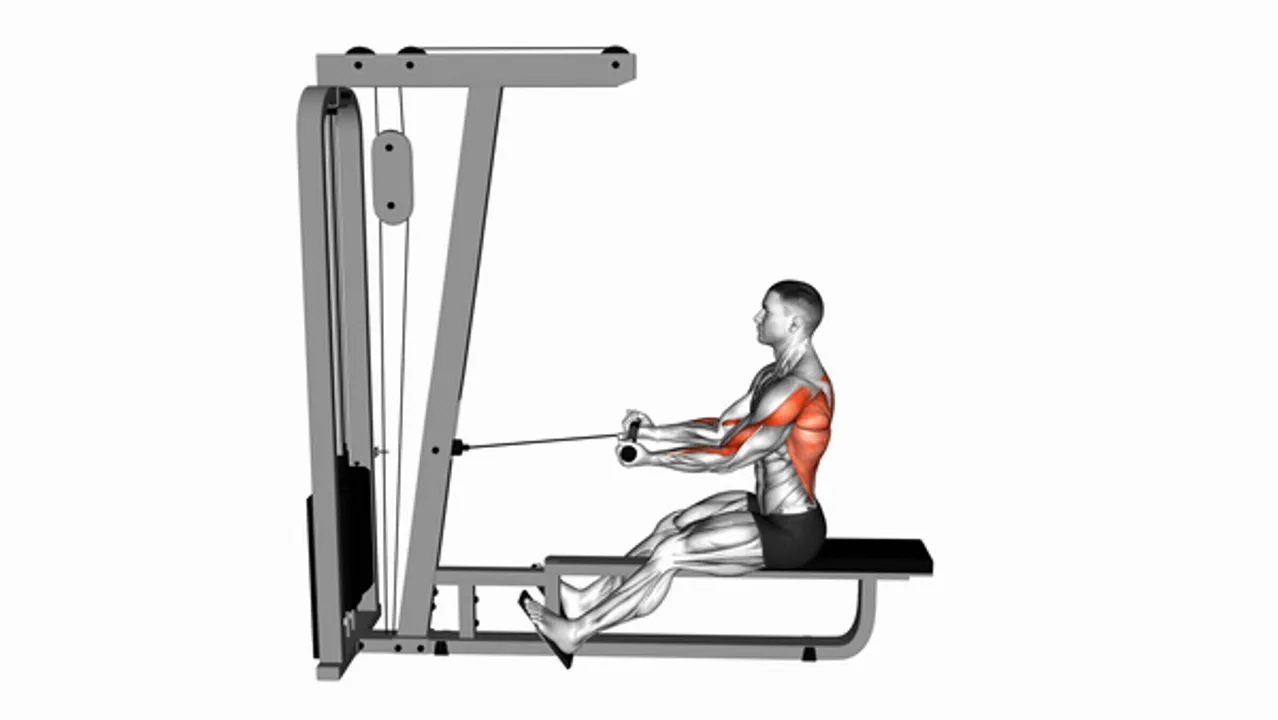 Cable Seated Supine Grip Row