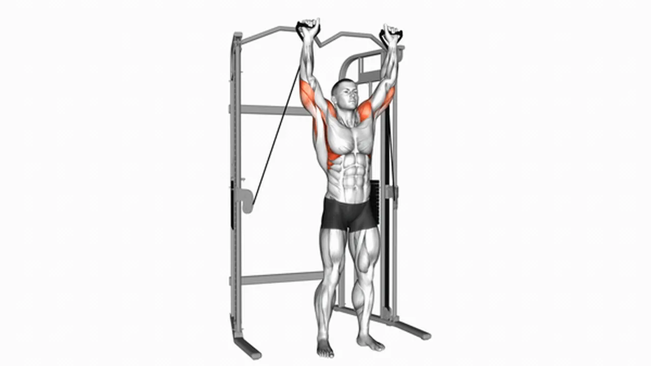 Common Cable Shoulder Press variations Image