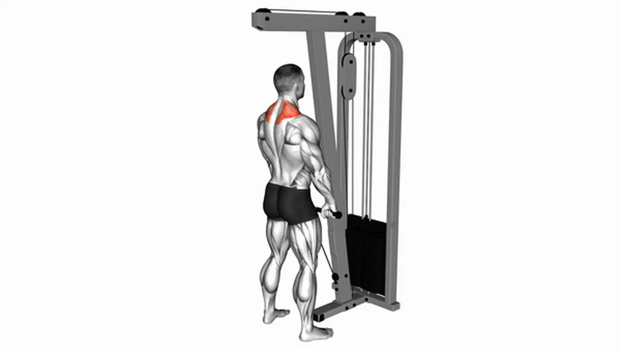 What are the benefits of Cable Shrugs? Image