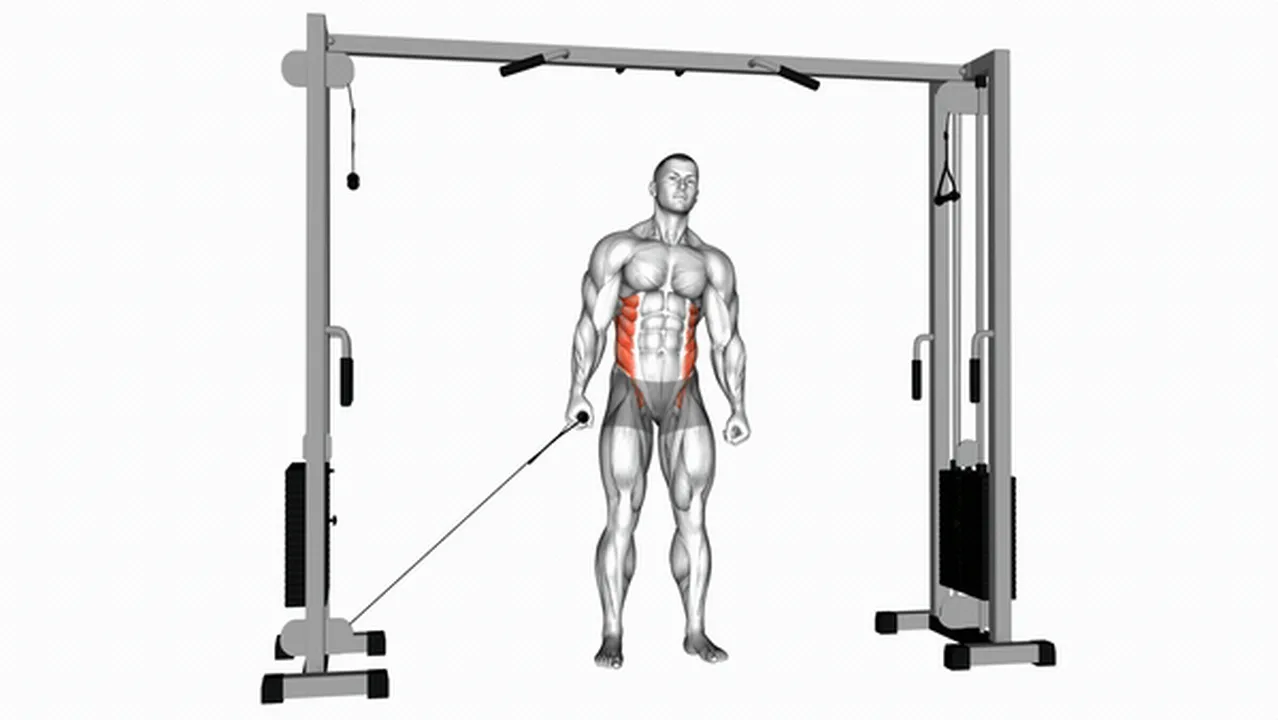 Common mistakes during Cable Side Bends Image