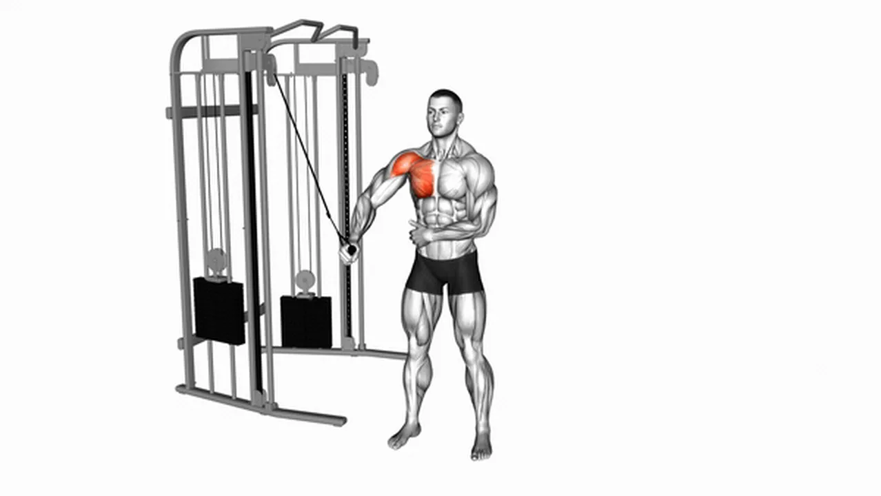 Common Cable Single Arm Crossover variations Image