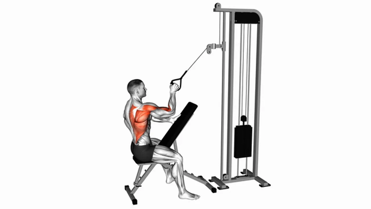 What are the benefits of Cable Single Arm High Row? Image