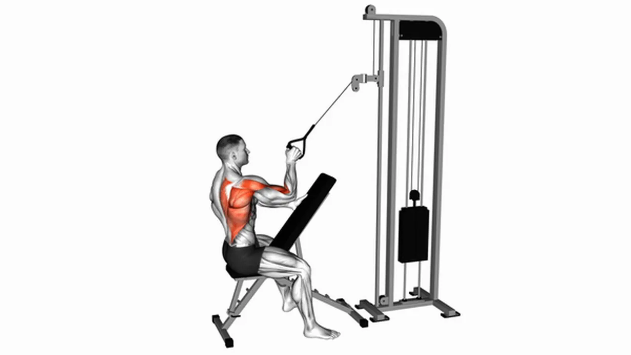 How to do Cable Single Arm High Row? Image