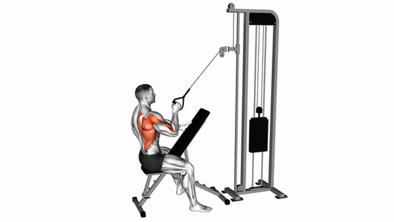 Common variations of Cable Single Arm High Row Image