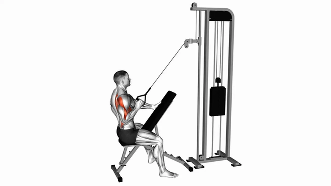 Alternatives to Cable Single Arm High Row Image