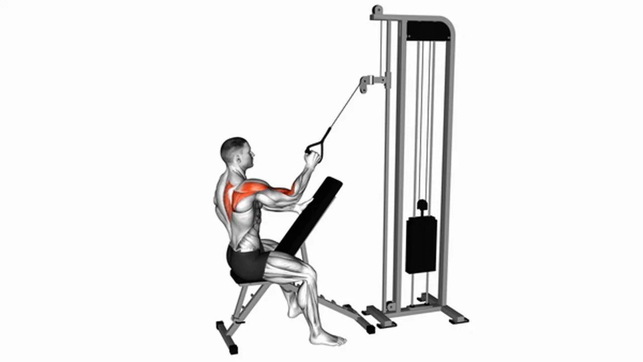 Common Cable Single Arm High Scapular Row variations Image