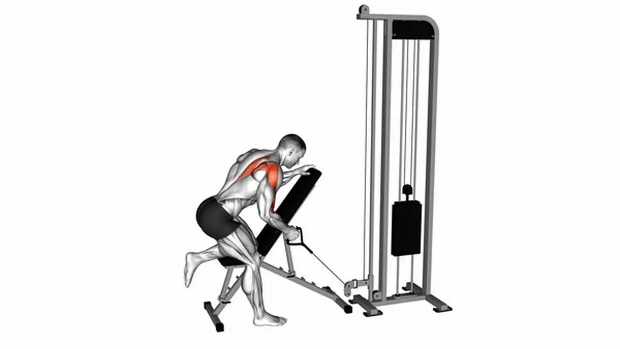 What are the benefits of Cable Single Arm Low Scapular Row? Image