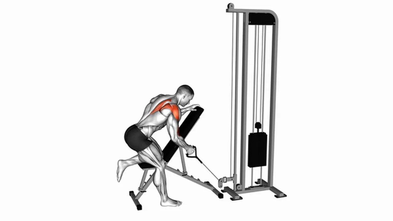 How to do the Cable Single Arm Low Scapular Row? Image