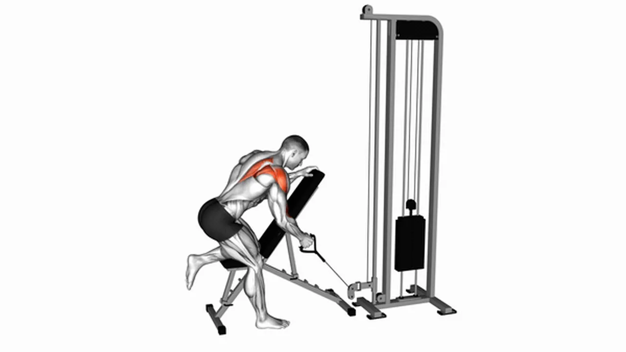 Alternatives to Cable Single Arm Low Scapular Row Image