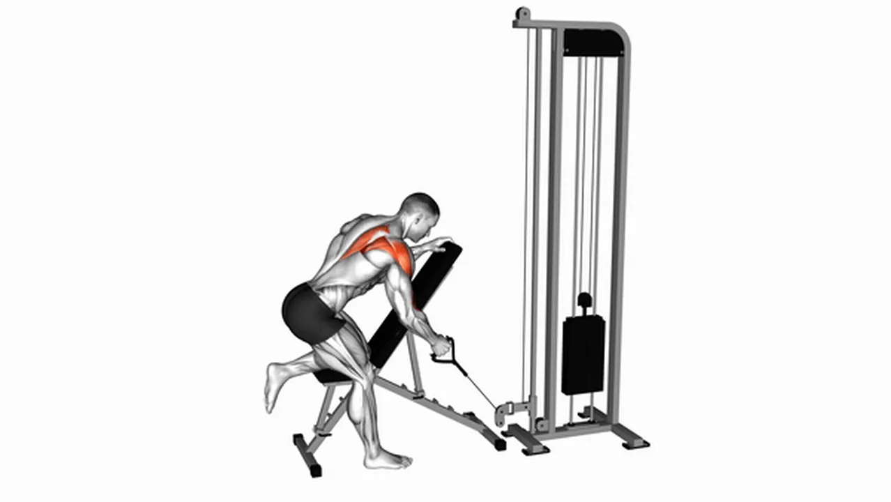 Common mistakes during Cable Single Arm Low Scapular Row Image