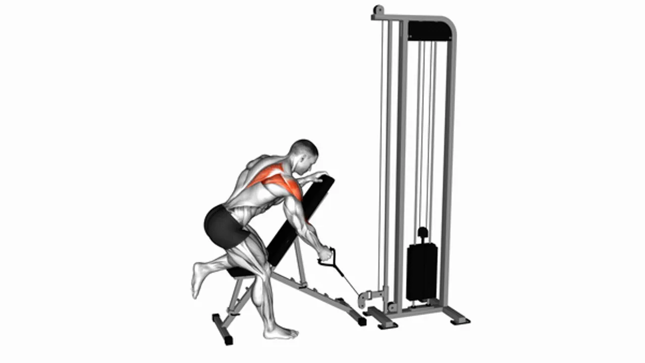 Cable Single Arm Low Scapular Row