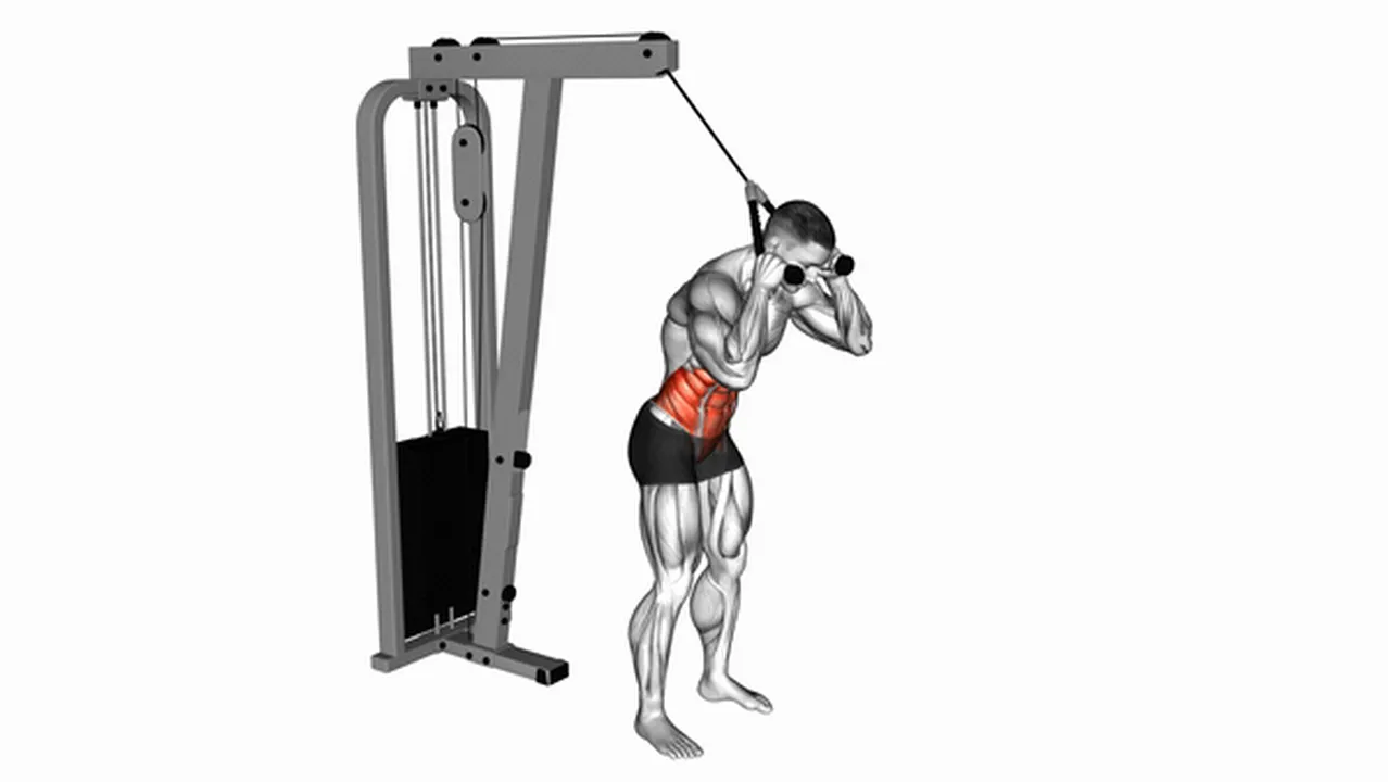 What are the benefits of Cable Standing Crunch with Rope Attachment? Image