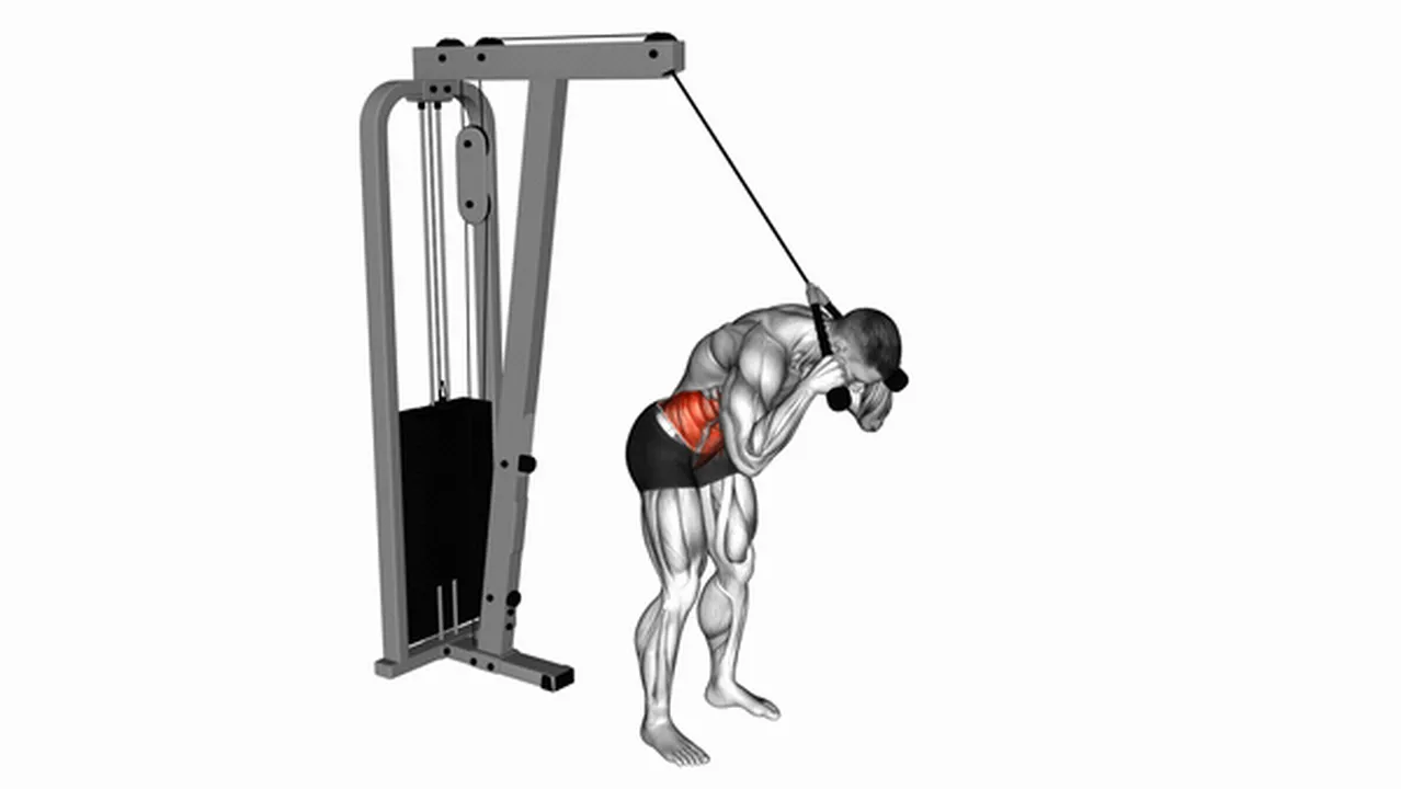 How to do Cable Standing Crunch with Rope Attachment? Image