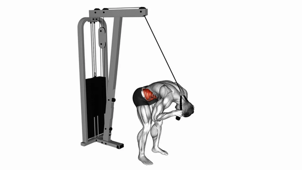 Common variations of Cable Standing Crunch Image