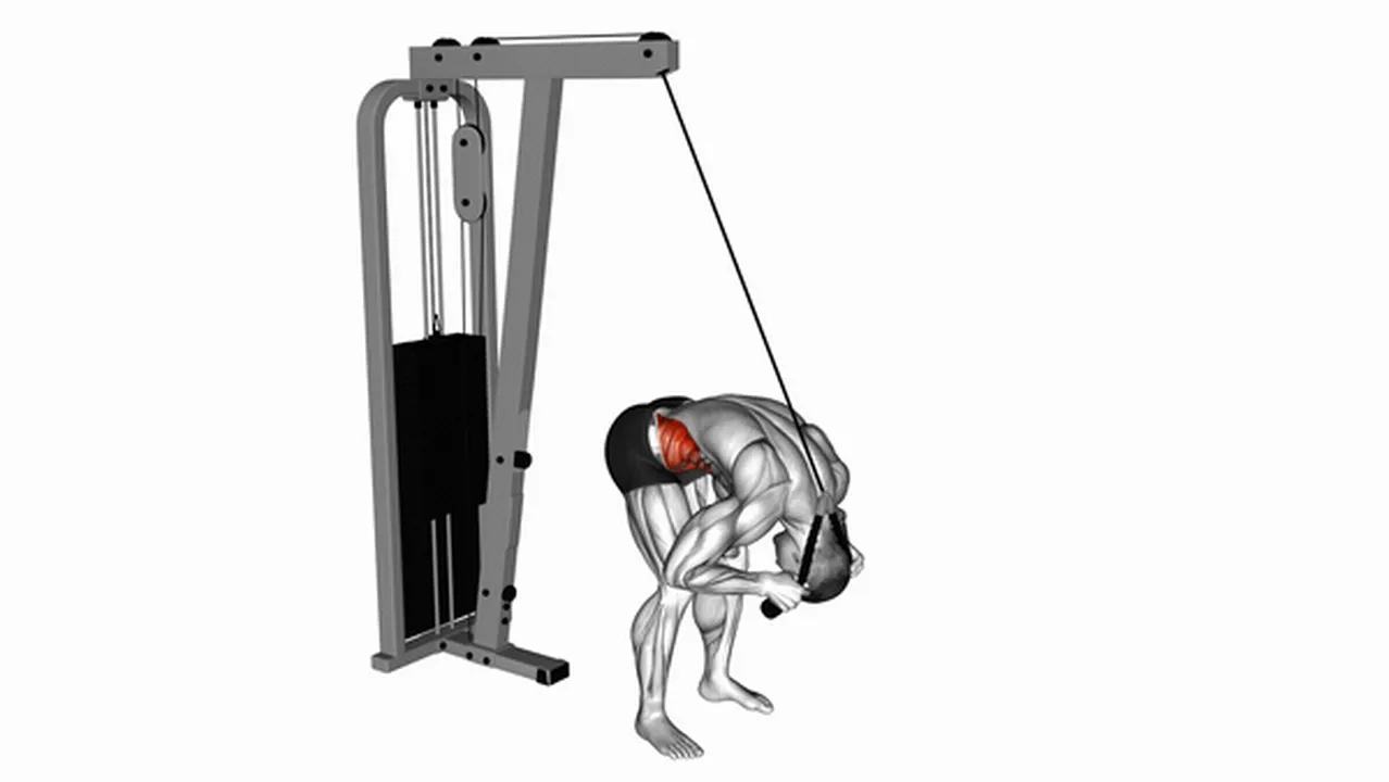 Alternatives to Cable Standing Crunch with Rope Attachment Image