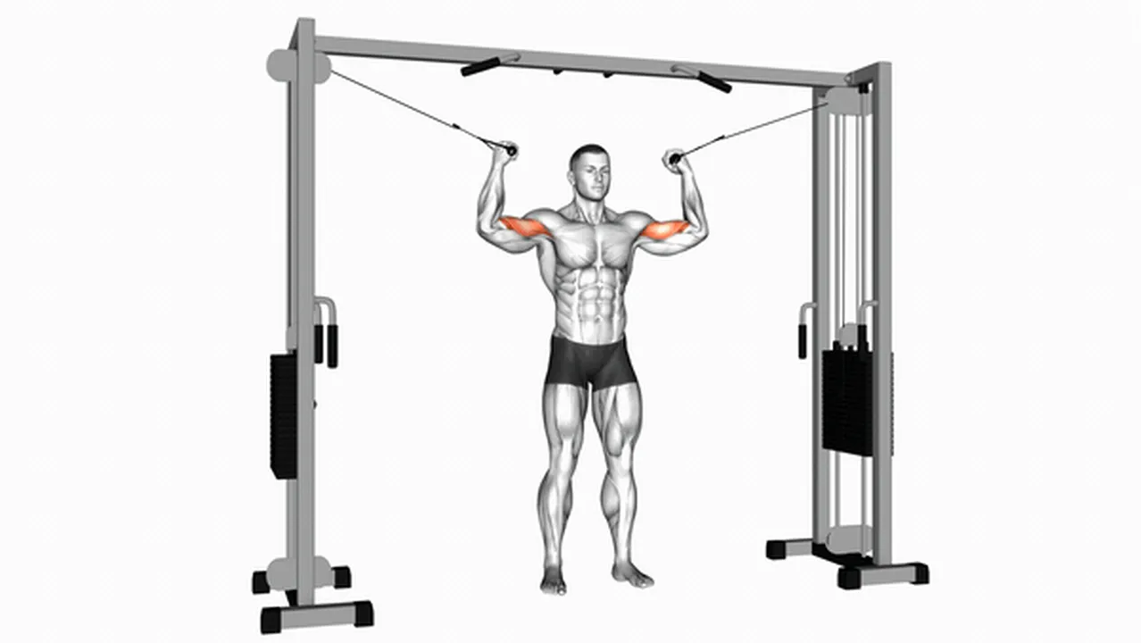 Common Cable Standing Inner Curl variations Image