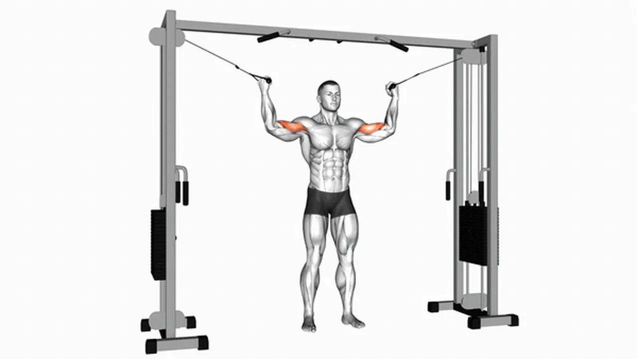 Alternatives to Cable Standing Inner Curls Image