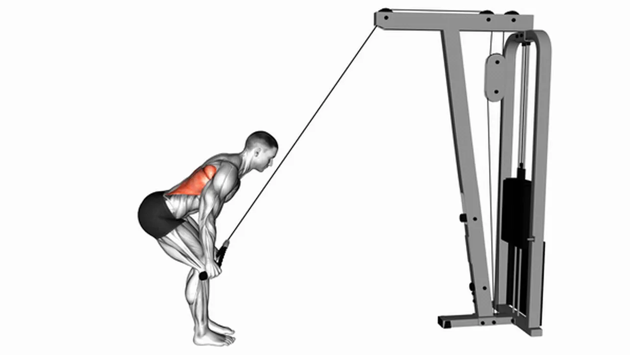 How to do Cable Standing Lat Pushdown with Rope? Image