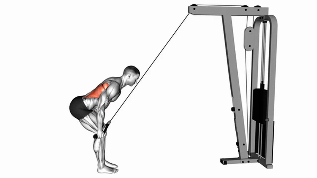 Common Cable Standing Lat Pushdown with Rope variations Image