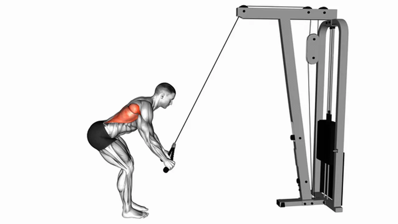 Alternatives to Cable Standing Lat Pushdown with Rope Image