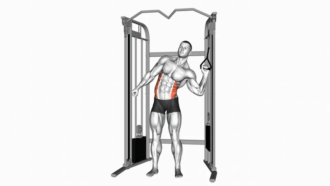 What are the benefits of the Cable Standing One-Arm Serratus Crunch? Image