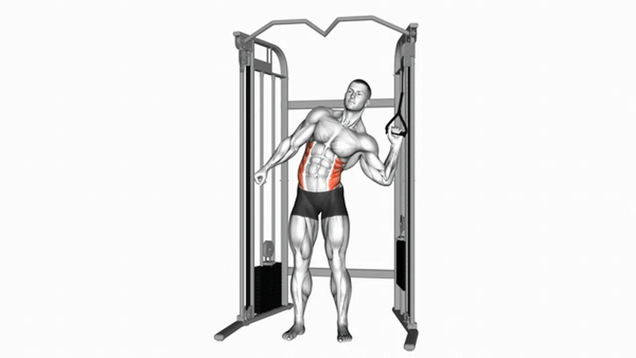 How to do the Cable Standing One-Arm Serratus Crunch? Image