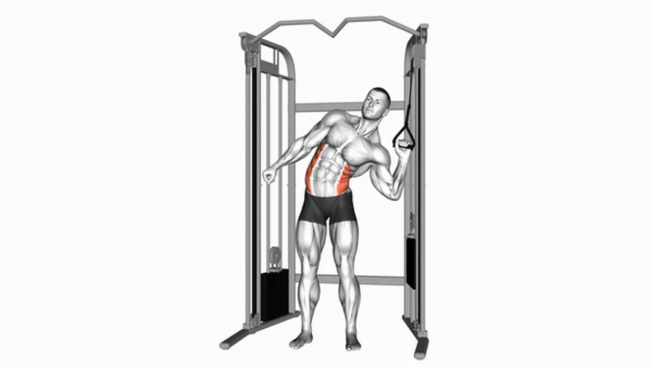 Common variations of the Cable Standing One-Arm Serratus Crunch Image